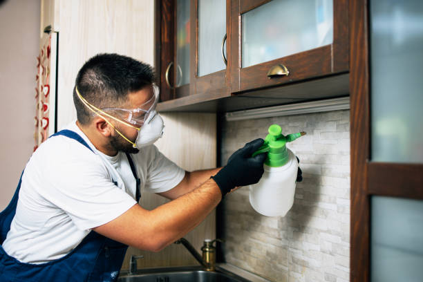 Best Emergency Pest Control  in Taunton, MA