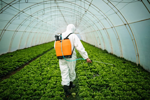 Best Mosquito Control Services  in Taunton, MA