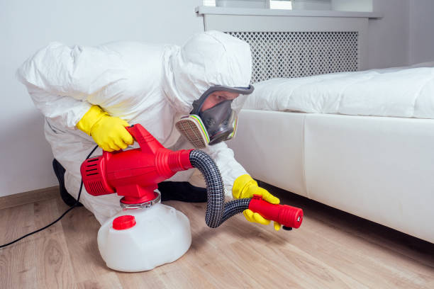 Best Cockroach Control Services  in Taunton, MA