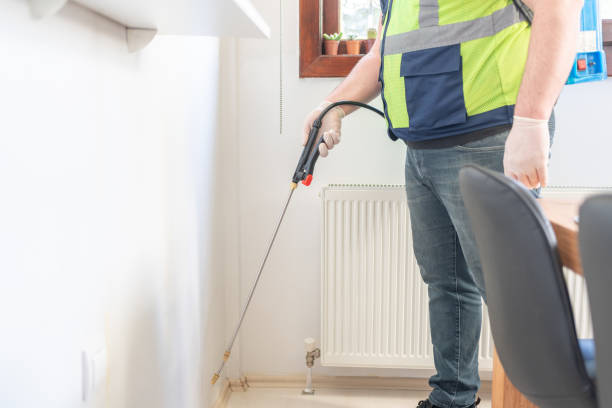 Best Ant Control Services  in Taunton, MA