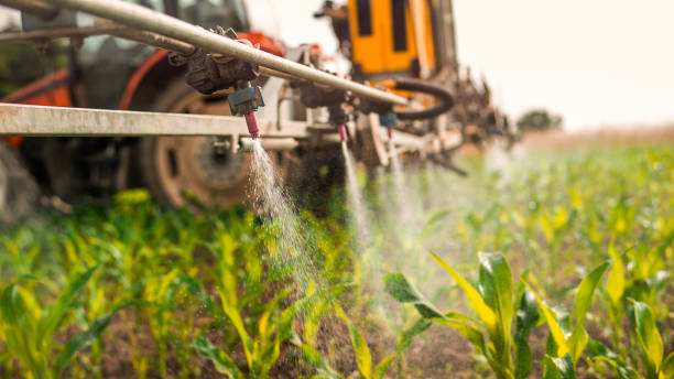 Reliable Taunton, MA Pest Control Solutions